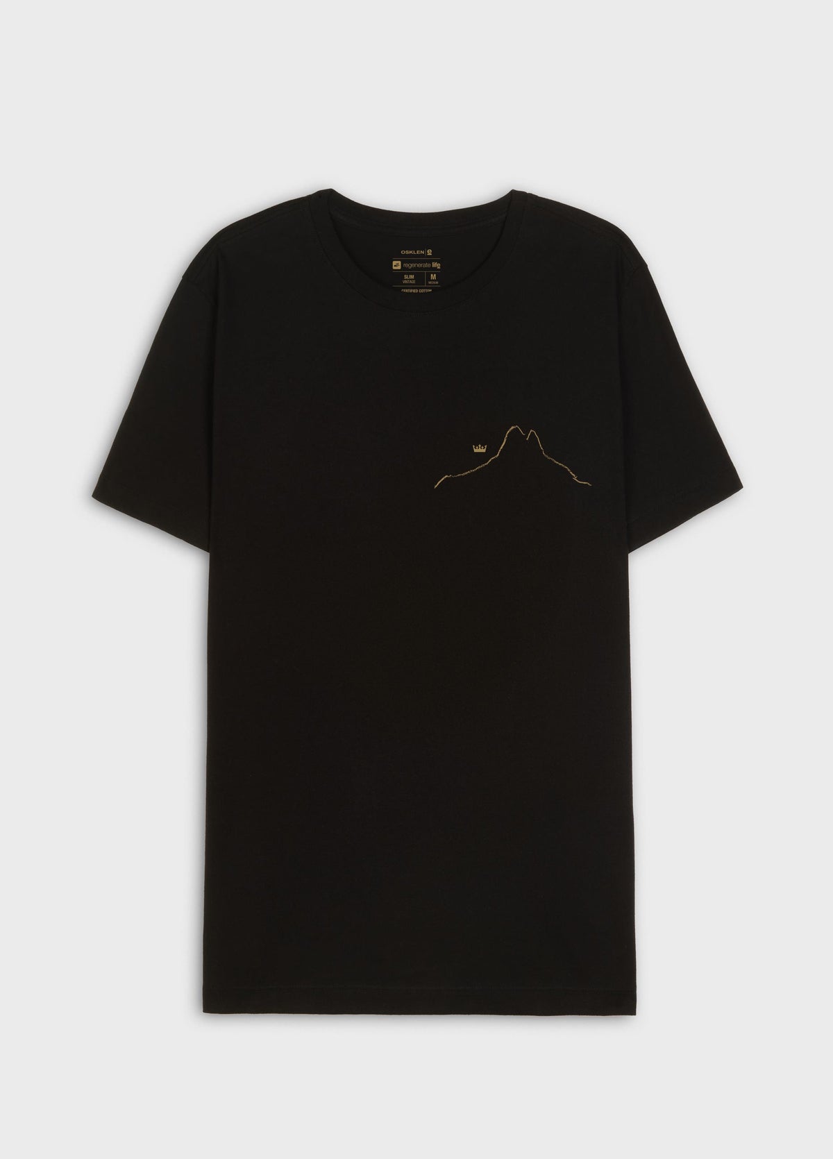 T-SHIRT SLIM VINTAGE DOIS IRMÃOS MC