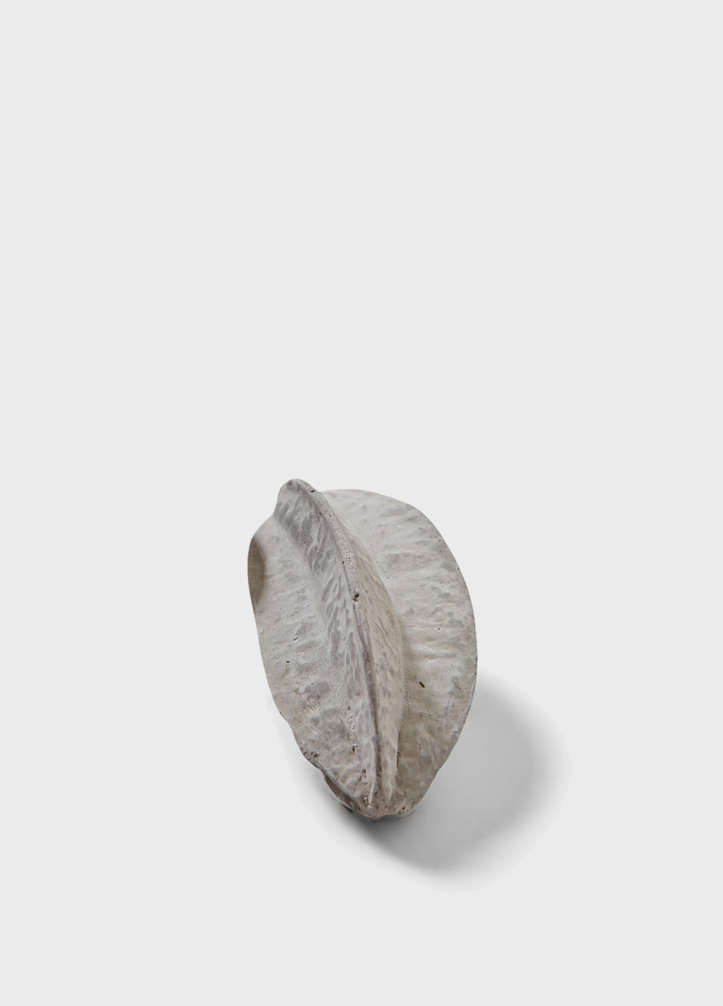 ESCULTURA FRUTA CARAMBOLA