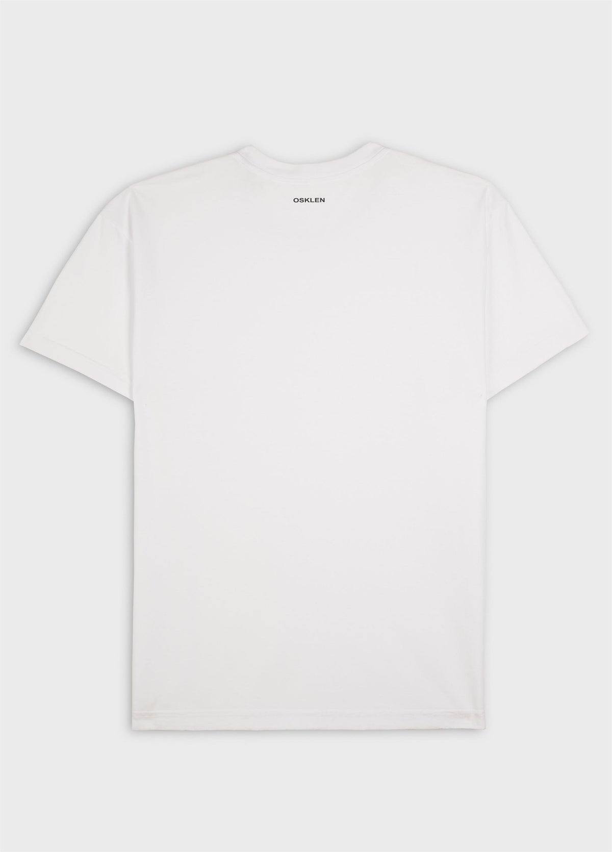 T-SHIRT STONE PEIXE PEDRA MC
