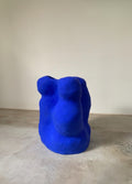 Vaso Botânica 4 A Azul – Juliana Nagle – foto 1