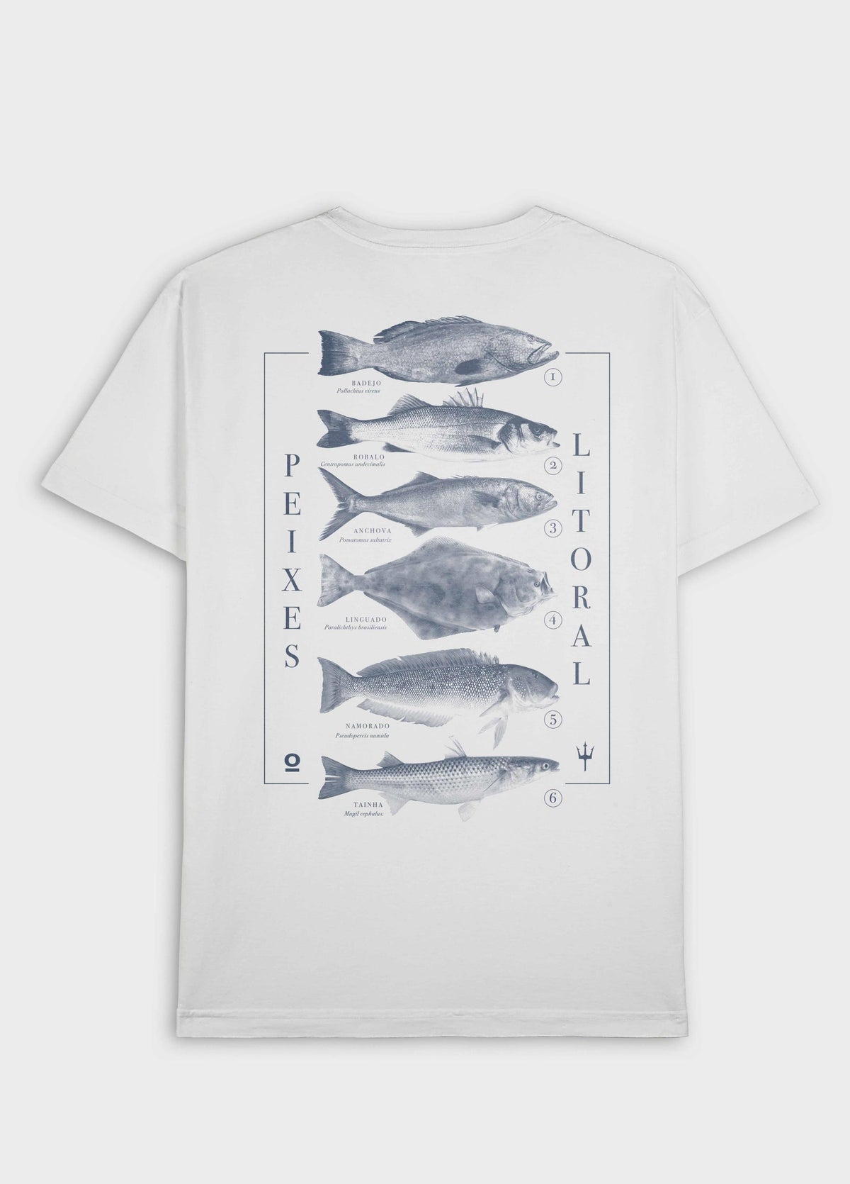T-SHIRT STONE PEIXES DO LITORAL